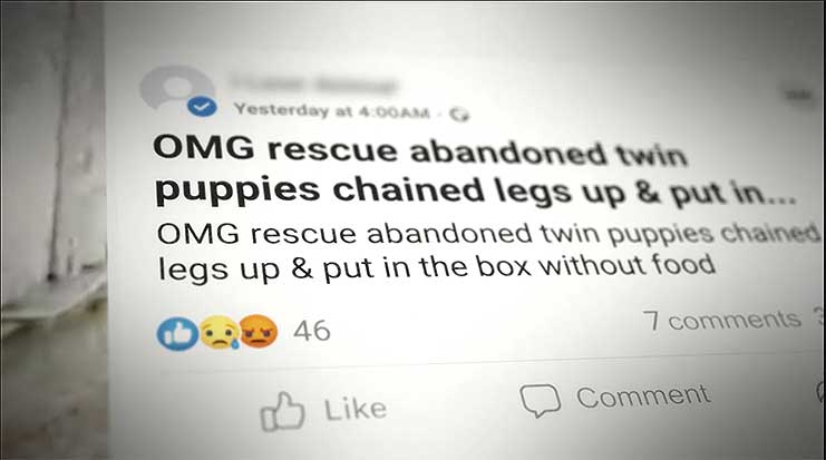 OMG-Rescue