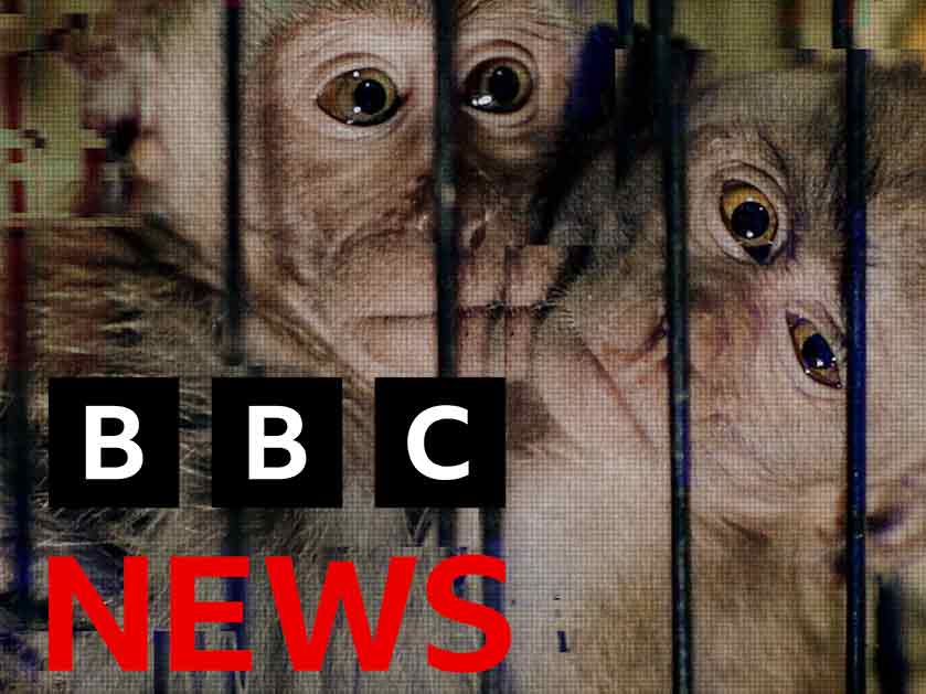 BBC-Article