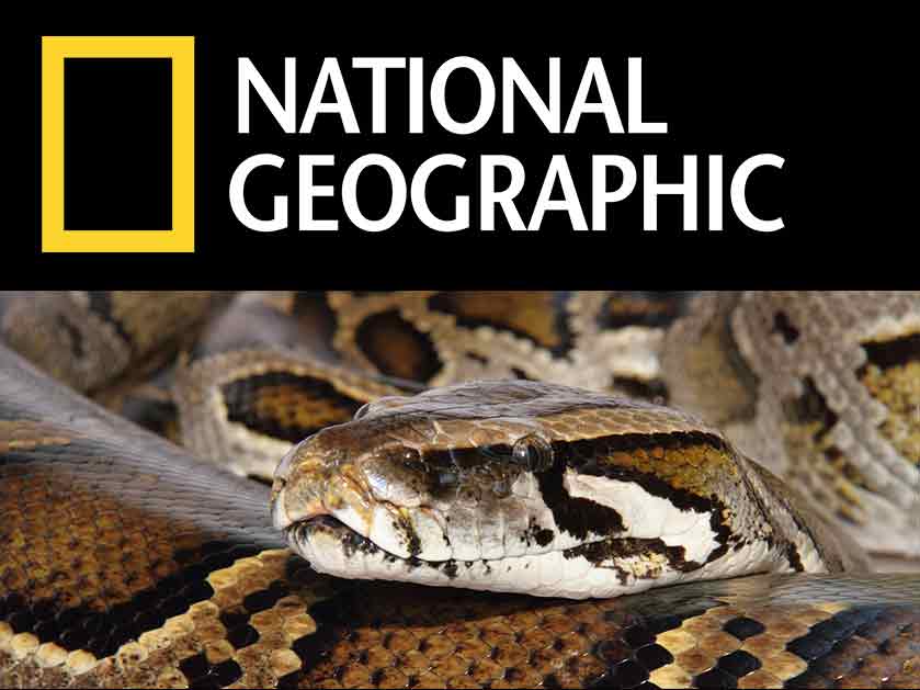 National-Geographic-Article
