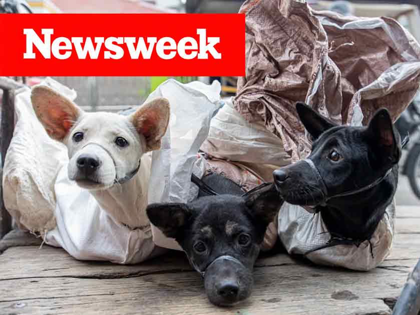 Newsweek-Article