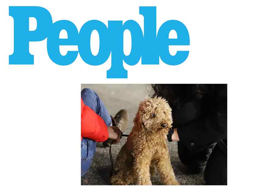 People-Article